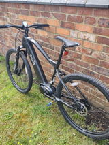 David Buckby review photo