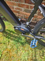 David Buckby review photo