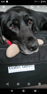 Bre review photo