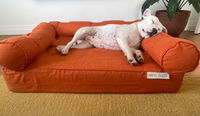 Eco Dogs Aust