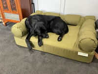 Eco Dog Bed Cover Sets - 100% Raw Cotton Fibre - Washable & Made to Last