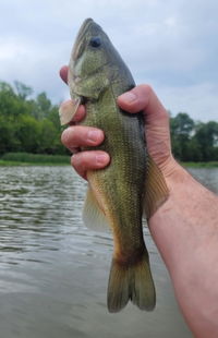 Eco Fishing Shop