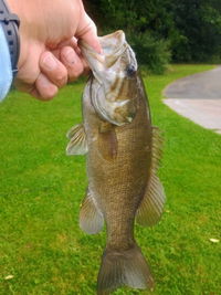 Eco Fishing Shop