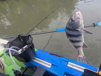 YakAttack Kayak Fishing Starter Pack