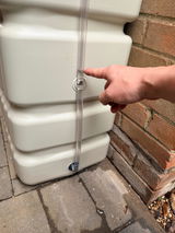 Roy review photo