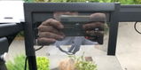 Ingo W. review photo