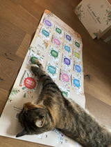 Zuzana review photo