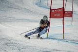 SCOTT LADU review photo