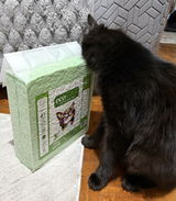 Andreea B. review photo