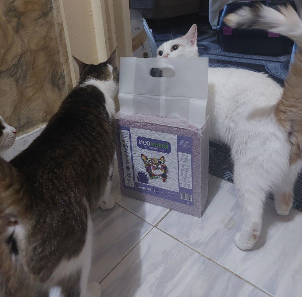 Nisip tofu pisici Ecosand lavanda 6L