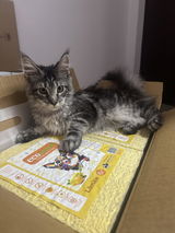 Denisa G. review photo