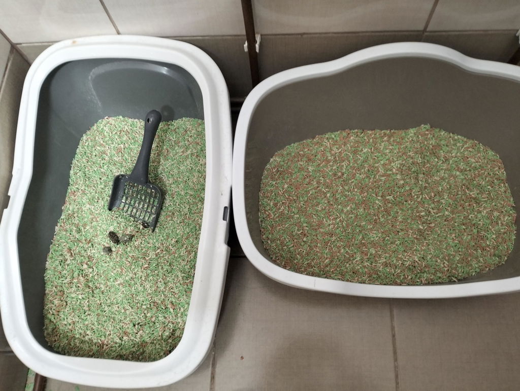 Nisip tofu pisici Ecosand mere 6L