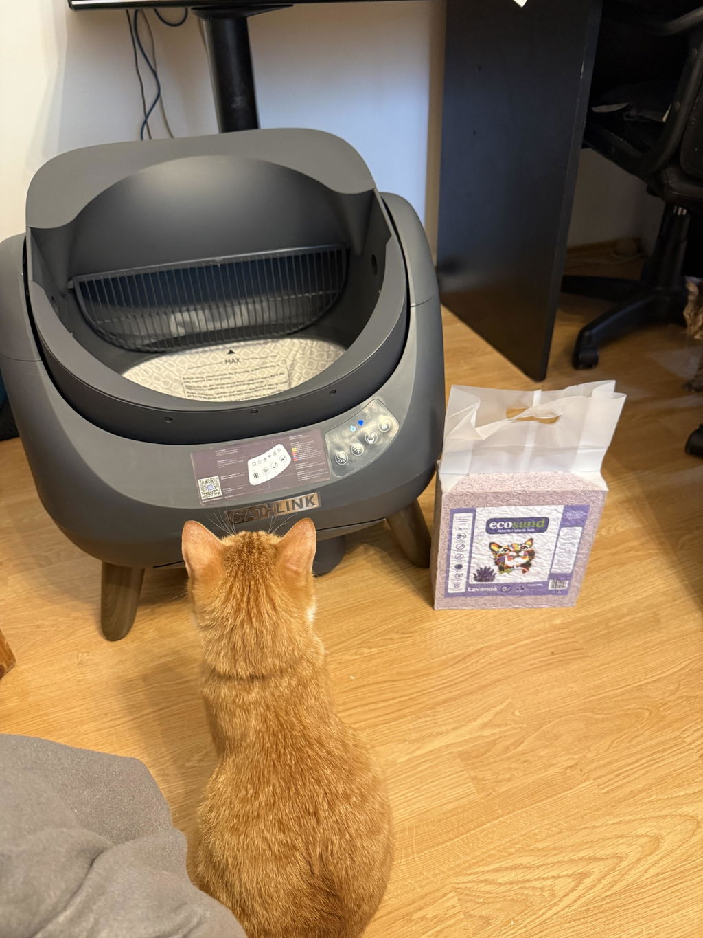 Nisip tofu pisici Ecosand lavanda 6L