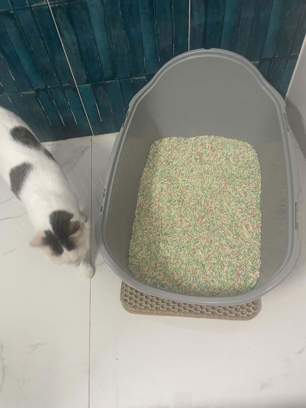 Nisip tofu pisici Ecosand ceai verde 6L