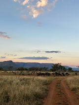 Firm Favourite Inv 29 Pty Ltd Sean du Toit review photo