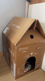 thriftsbyanisss review photo