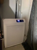 Vali M review photo