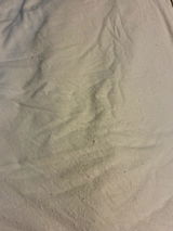 Sas review photo