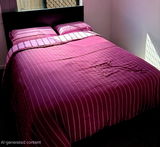 Suzanne Davies review photo