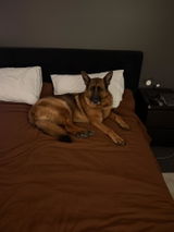 Anonymous review photo