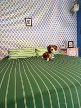 Faye Tiernan review photo