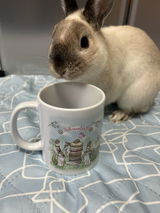匿名 review photo