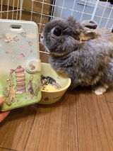 匿名 review photo