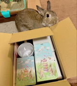 匿名 review photo