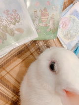 匿名 review photo