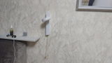 Herbert Sauer review photo
