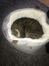 Shopper review photo