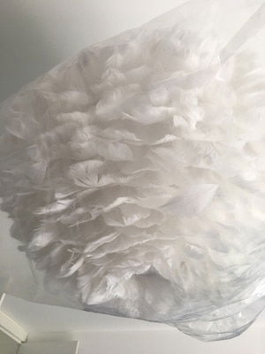 Feather Pendant Light