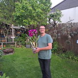 Torsten Hansen review photo