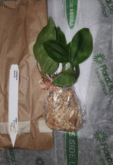 E. review photo