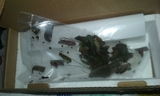 C. review photo