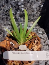 Valentyna Polyakova review photo