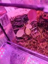 Valentyna Polyakova review photo