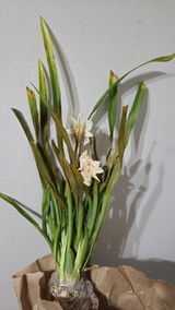 Joel Borst review photo
