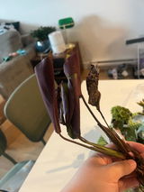 Kimchi review photo