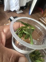 Marcos Tenango review photo