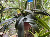 Ann’s Garden review photo