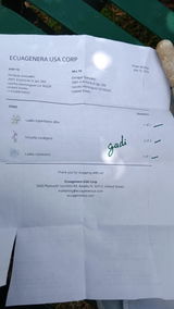 E.G. review photo