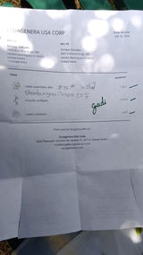 E.G. review photo
