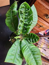 Nicole R. review photo