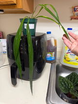 Pri review photo