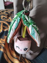 Sonja review photo