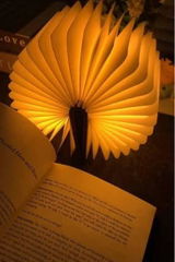Ayan Raza review photo