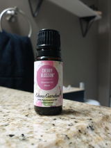 Dina V. review photo
