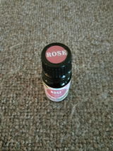 Dina V. review photo