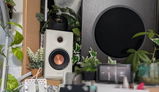 Nori review photo